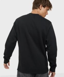 Alternative view of Excepteur sint